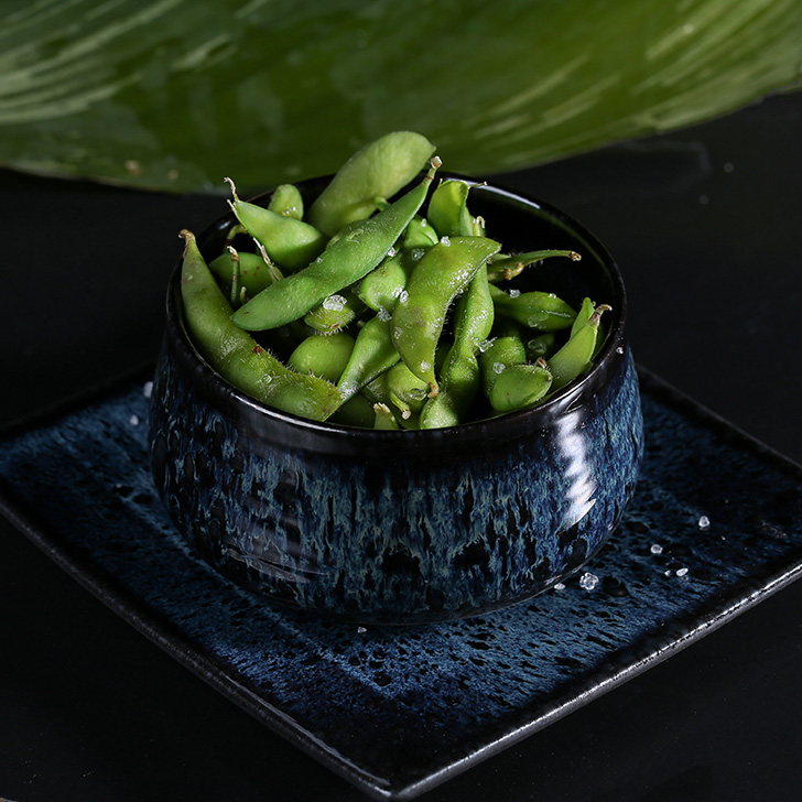 vioma_grill_hotpot_sushi_singen_restaurant_55